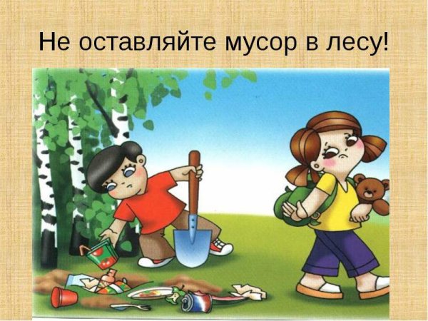 Нельзя обижать насекомых