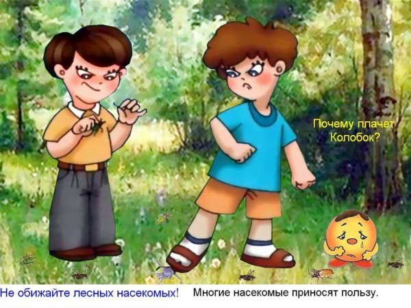 Опасности в природе для детей