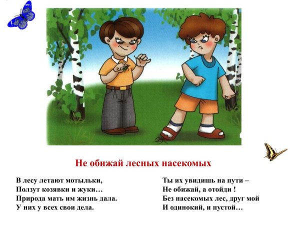 Не разоряйте муравейники