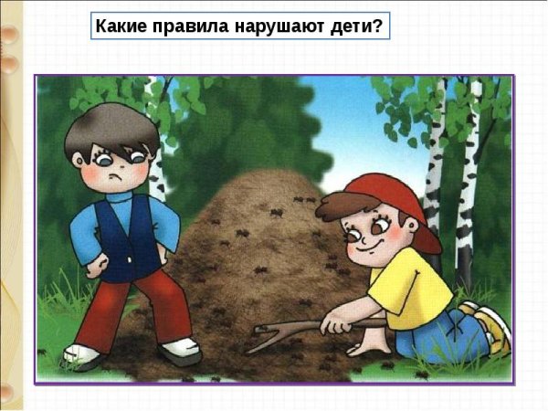 Не обижайте лесных насекомых