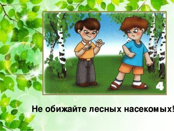 Нельзя обижать насекомых