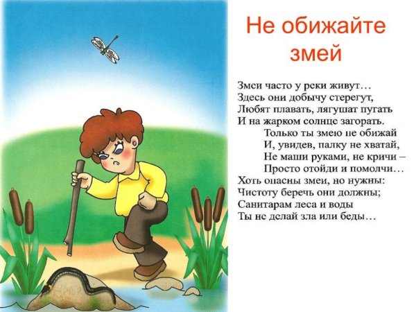 Насекомые иллюстрации