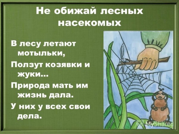 Нельзя давить насекомых