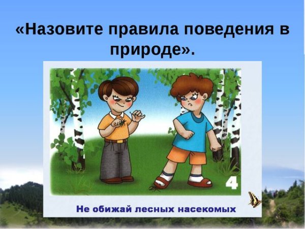 Правила поведения в лесу и на лугу