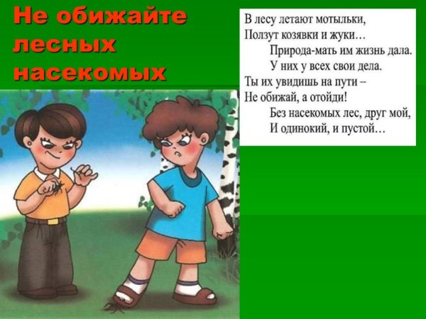 Берегите насекомых