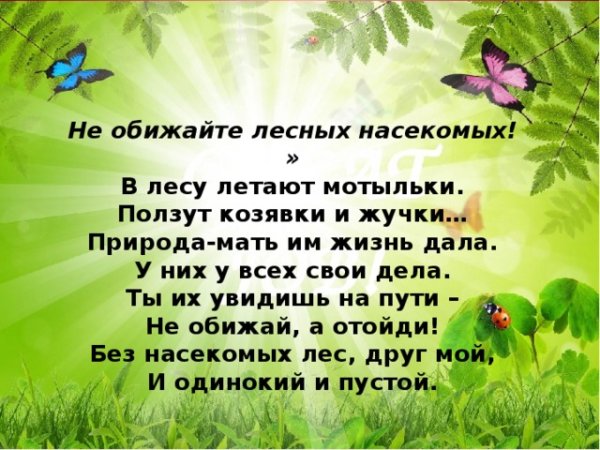 Опасности в лесу для детей