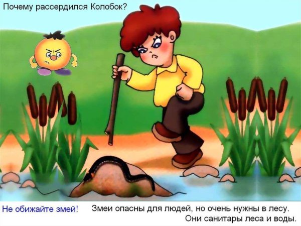 Опасности в лесу для детей