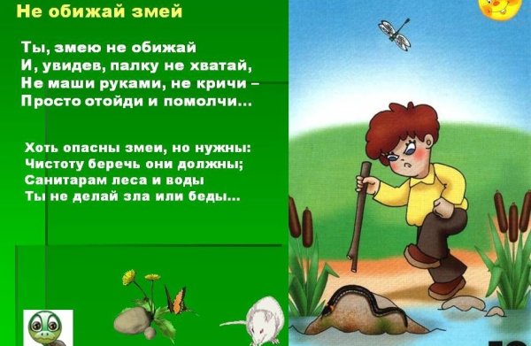 Уроки экологии для дошкольников