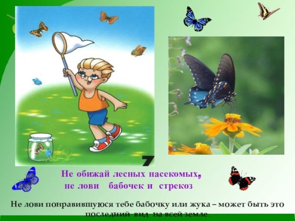 Поведение на природе