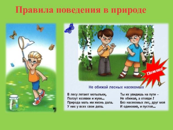 Опасные ситуации в лесу
