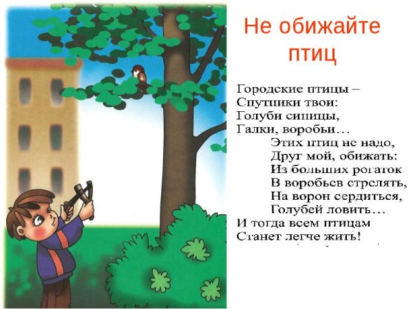 Правила поведения втприроде