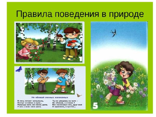 Знаки защиты природы