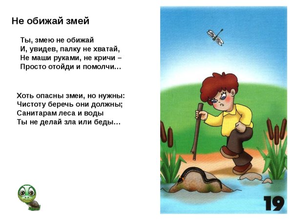 Знак не разоряй муравейники
