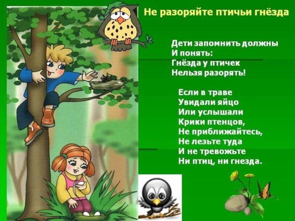 Неправильное поведение в лесу