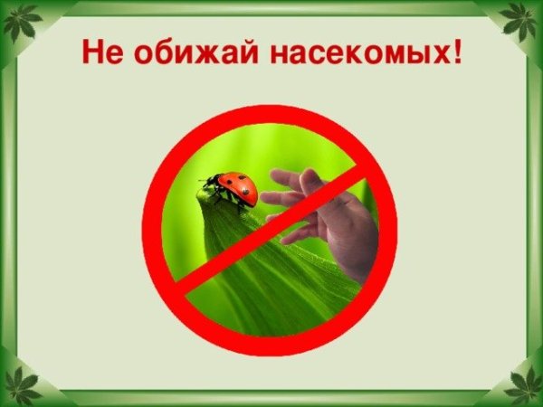 Береги природу для детей