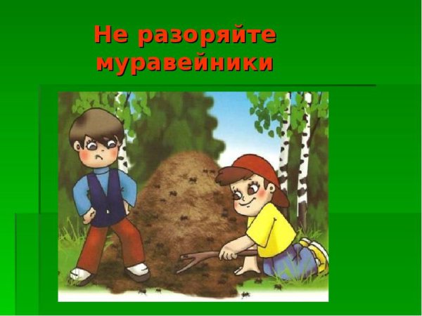 Правила поведения в лесу для детей в картинках