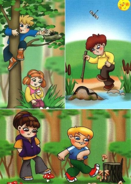 Не обижай лесных насекомых
