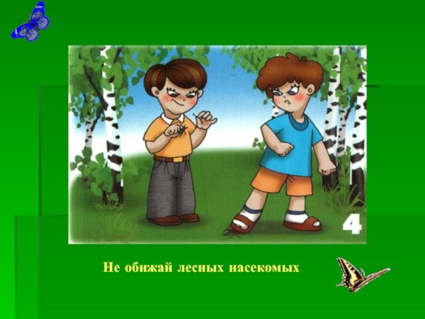 Не забирайте животных домой