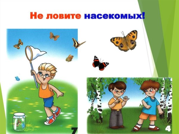 Знаки охраны природы