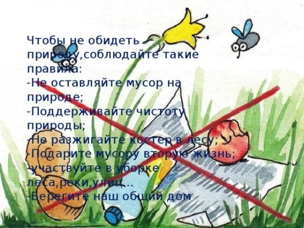 Не разоряйте муравейники