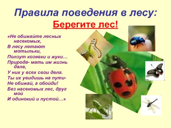 Запрещающие знаки в природе
