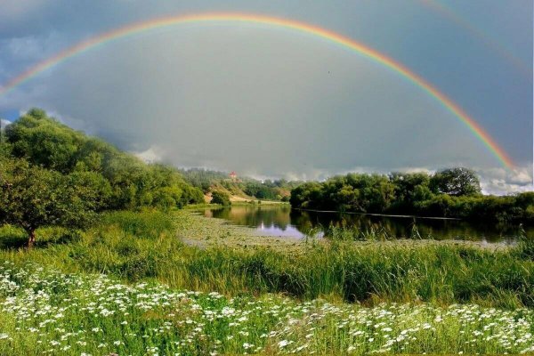 Природа после дождя