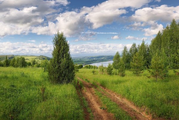 Природа Богородского района Нижегородской