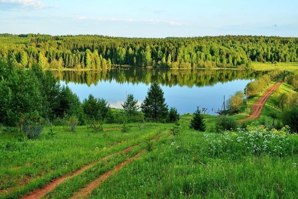 Леса Кировской области Вятка