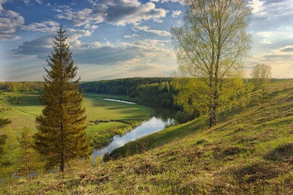 Вятские леса Кировская область