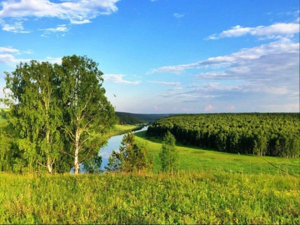 Река Немда Кировская область