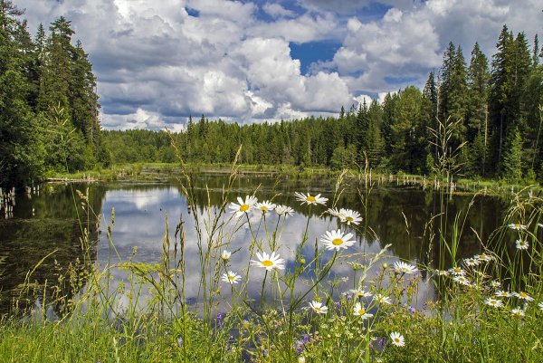 Вятский край Кировская область
