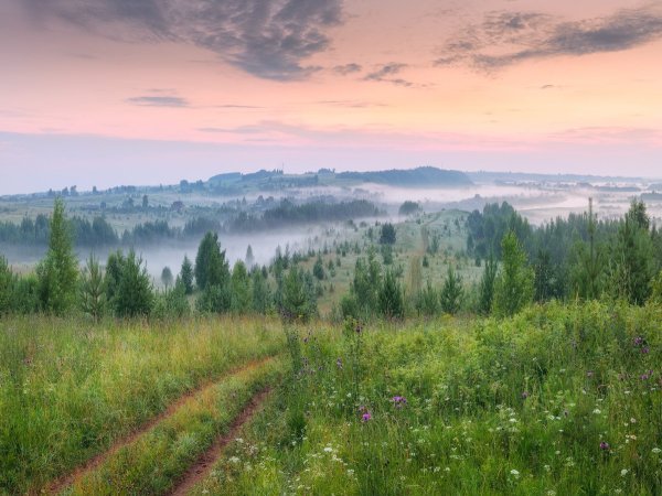 Река Немда Кировская область