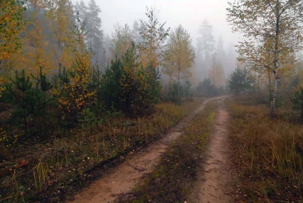 Пасмурная осень в деревне