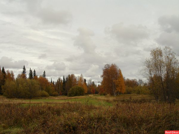 Природа в плохом качестве