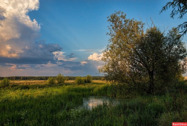 Русская природа