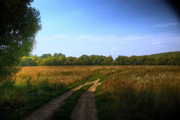 Деревня природа Проселочная дорога