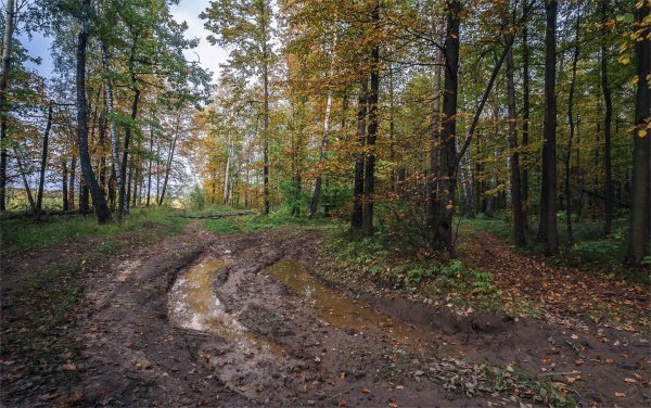 Пейзаж без обработки