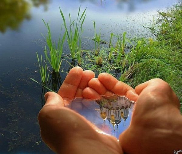 Природа в ладошках