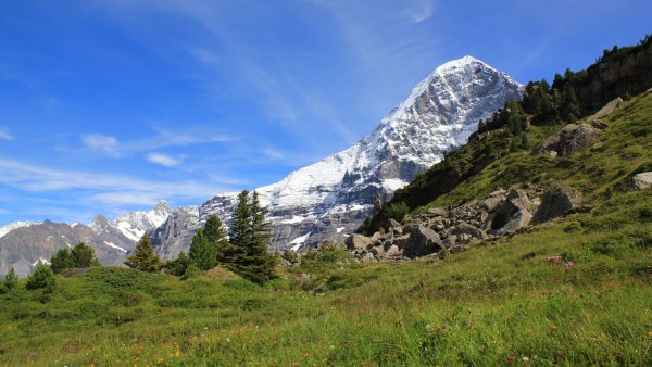 Гора белалакая Домбай