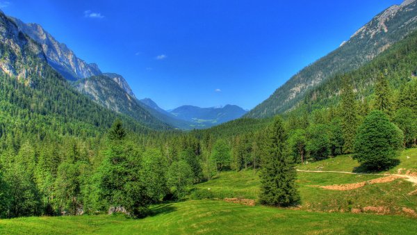 Бавария Германия природа Вильдштайгер