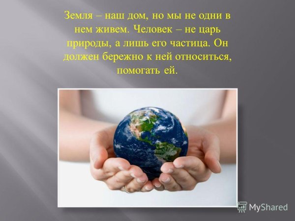 Прикольные обои