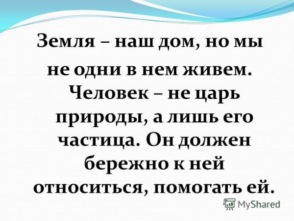 Лев обои