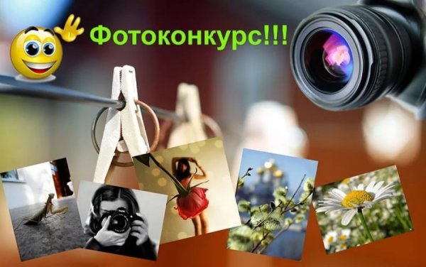 Лето в объективе фотоконкурс