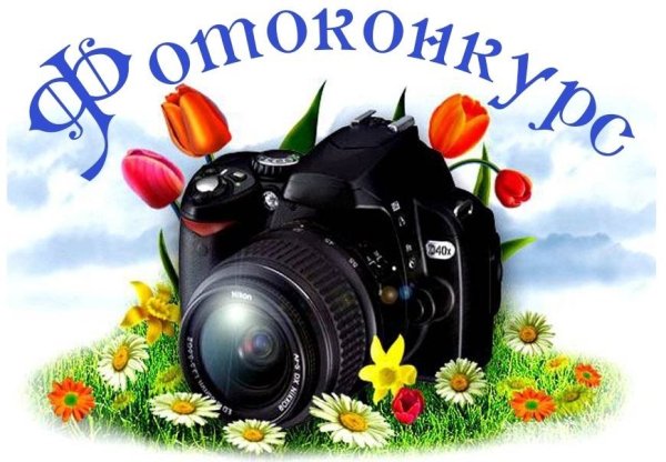 Конкурс фотографий