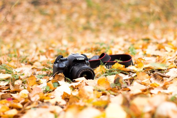 Фотоаппарат к фотоконкурсу