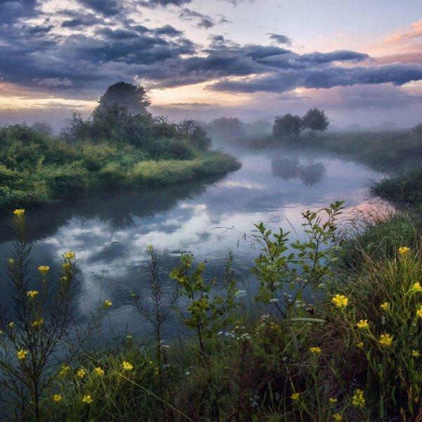 Дикая природа России 2019 National Geographic