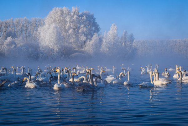 Самая красивая Страна фотоконкурс