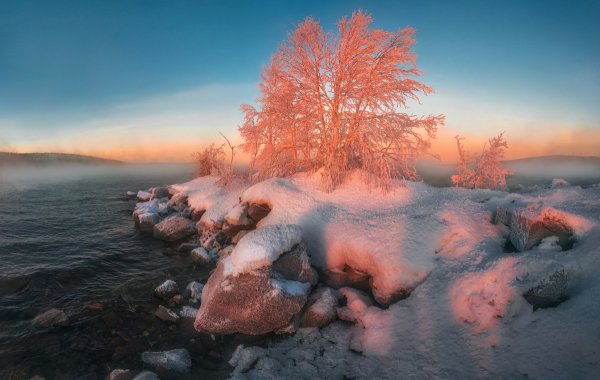 Победители фотоконкурса National Geographic