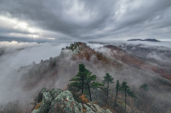 Дикая природа России National Geographic