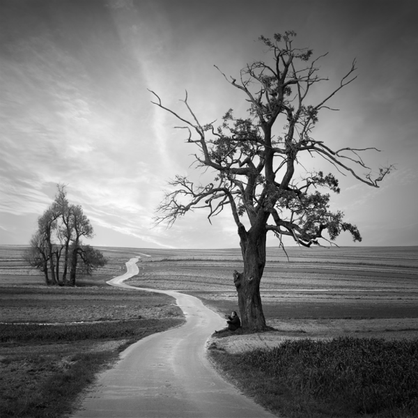 Дон Хонг оай фотограф